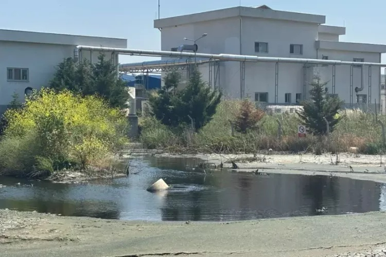 Arıtma tesisi BUSKİ'nin lağım çukuruna dönüştü: Kanalizasyon suları tarım arazilerini kirletti