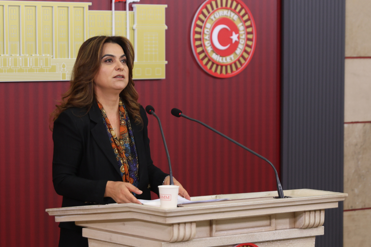 DEM Parti'den "çerçeve yasa" çağrısı | Koçyiğit: Süreçten yasal sürece geçiş öncelikli başlık olmalı
