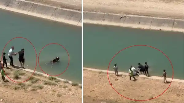 Batman'da sulama kanalında can pazarı: Akıntıya kapılan 2 kişiyi çevredekiler kurtardı