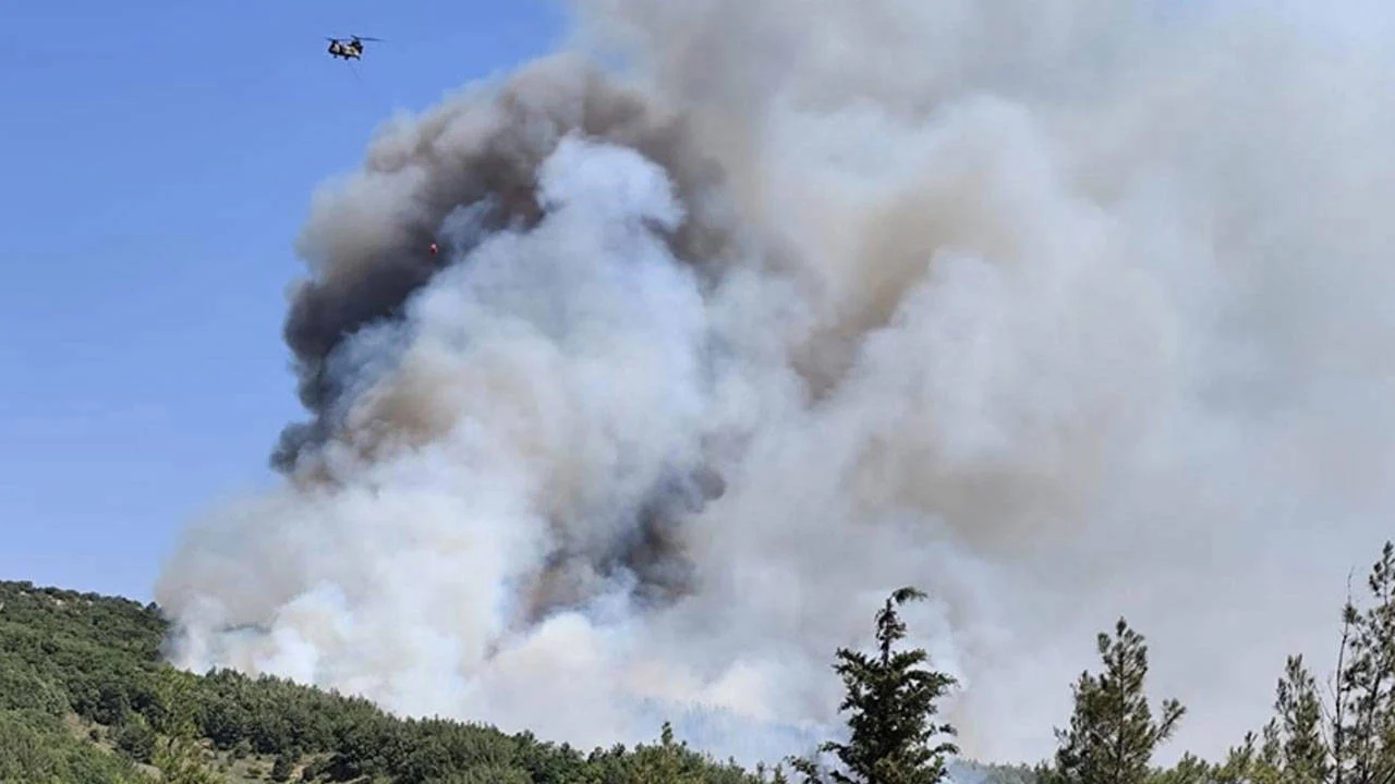 İzmir'de yangın: Çöplükten makilik alana sıçradı