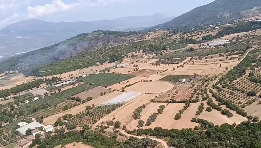 Seydikemer'de tarım arazisinden ormana sıçrayan yangın kontrol altına alındı