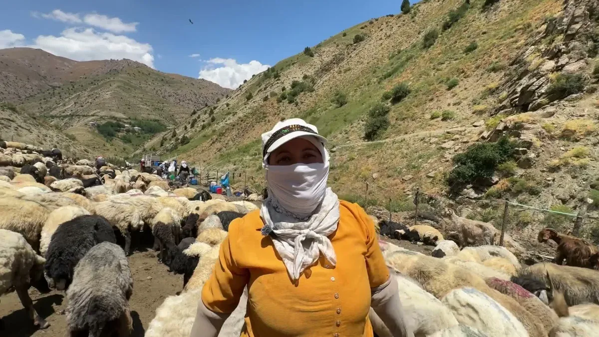 Yüksekovalı berivanlar kavurucu sıcakta gölgelik sözü için yetkililere seslendi
