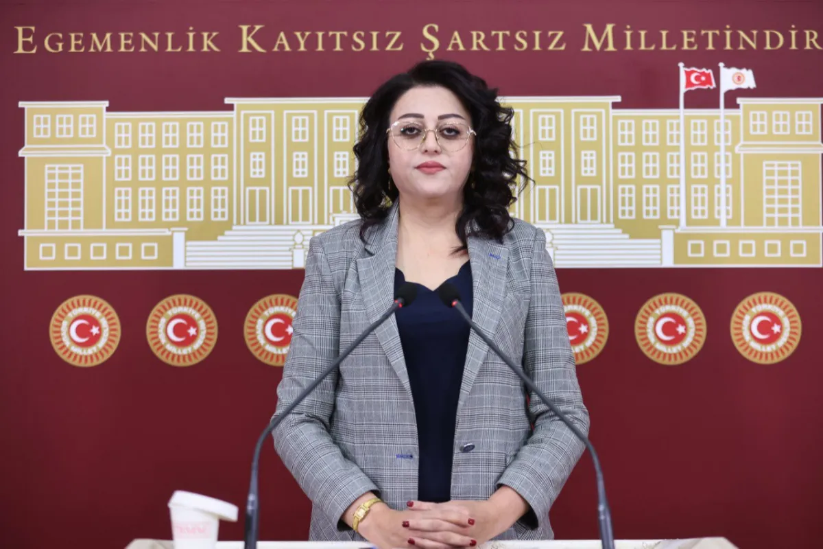 DEM Partili Öznur Bartin, Murat Çiçek'in ölümünü Meclis gündemine taşıdı: Japonya'daki gözaltı sürecinin araştırılmasını talep etti