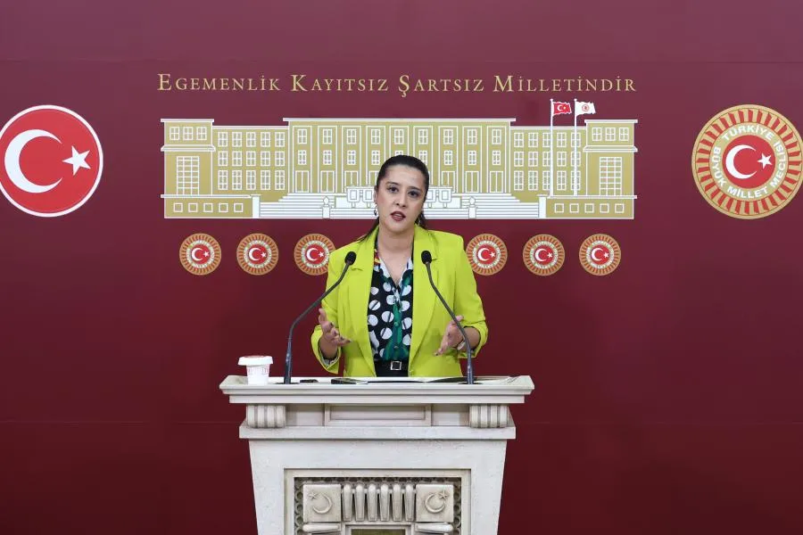Akademisyen kıyımına Sevda Karaca'dan tepki: “Üniversitelerin ticarethane anlayışıyla yönetiliyor”