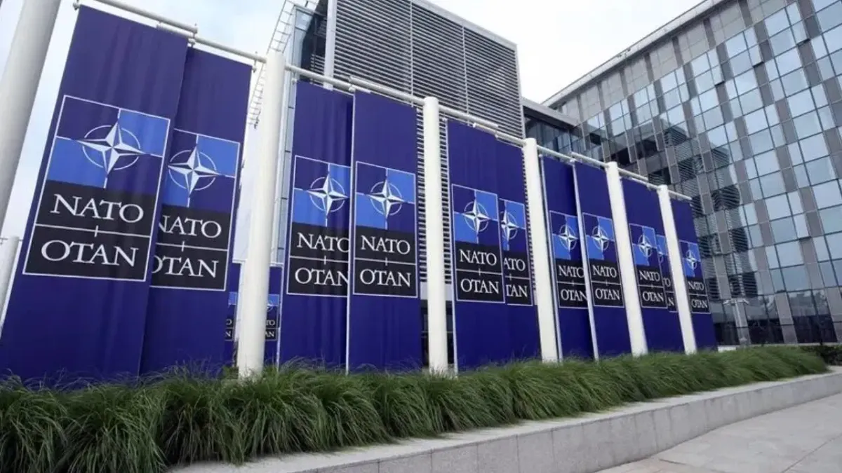 ‘NATO’ operasyonlarında tutuklandılar: Üç haftadır cezaevinde tutulan TEMA gönüllülerinden mesaj var!