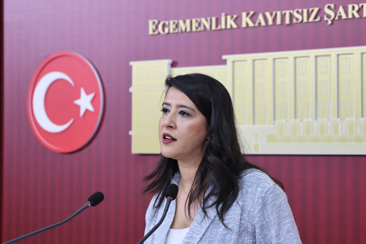 EMEP Milletvekili Sevda Karaca: "Çocuklar hapishanelerle değil haklarla büyümeli"