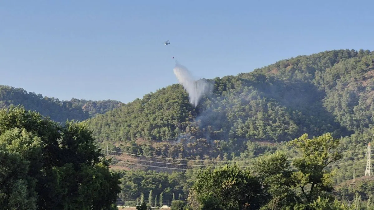 Muğla'daki orman yangınının şüphelisi serbest bırakıldı