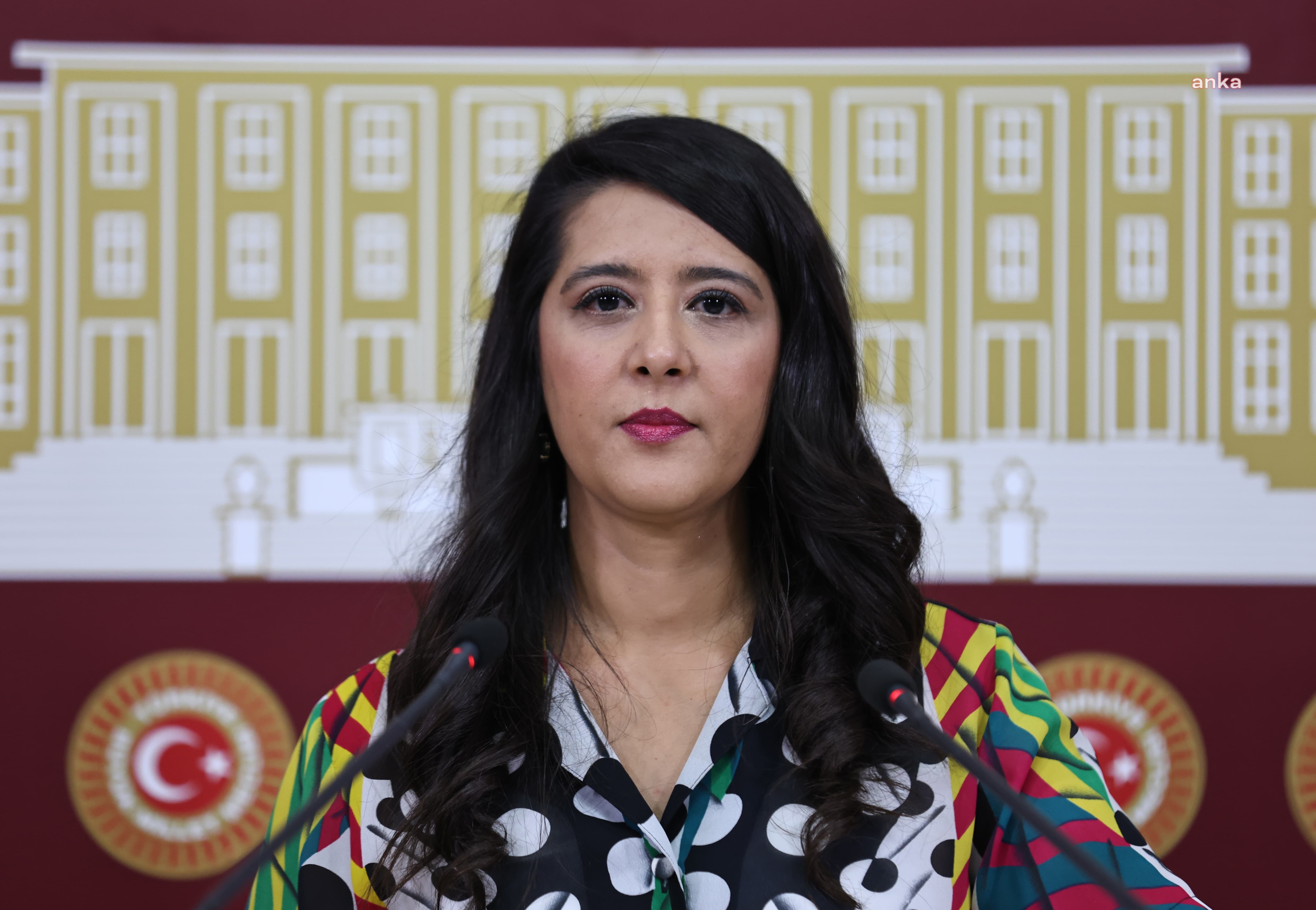EMEP'li Karaca'dan trans öğretmenin işten çıkarılması ve Onur Yürüyüşü’nde avukatlara soruşturma açılmasına ilişkin soru önergesi