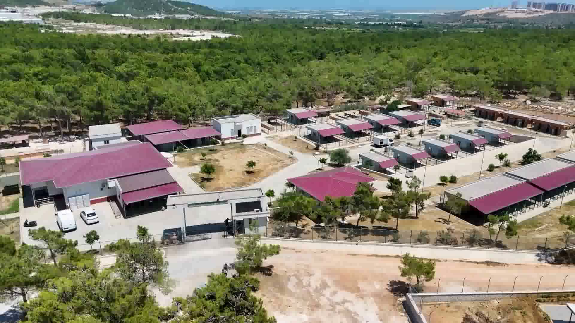 Mersin Büyükşehir Belediyesi Silifke Rehabilitasyon ve Yaşam Alanı'nda can dostlar emin ellerde