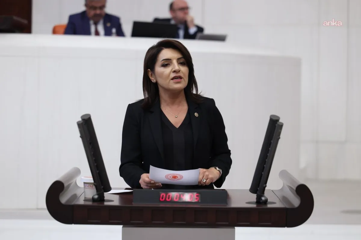 CHP Mersin Milletvekili Kış: "Saray, bir emeklinin bir aylık maaşını 43 saniyede harcıyor"