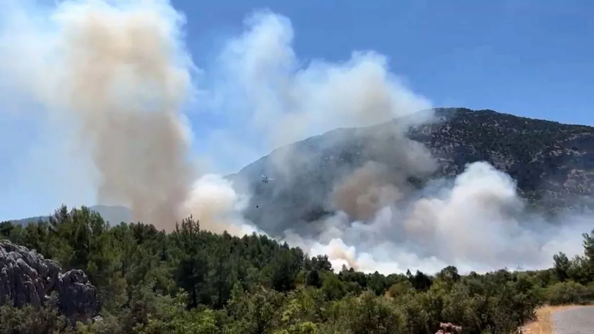 Antalya'da orman yangını: Havadan ve karadan müdahale ediliyor