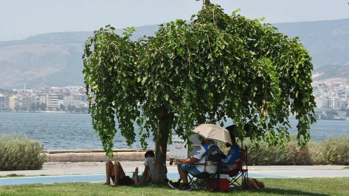 Uzmanlardan sıcak çarpmasına karşı kritik uyarılar: Bilinç kaybına kadar ilerleyebilir