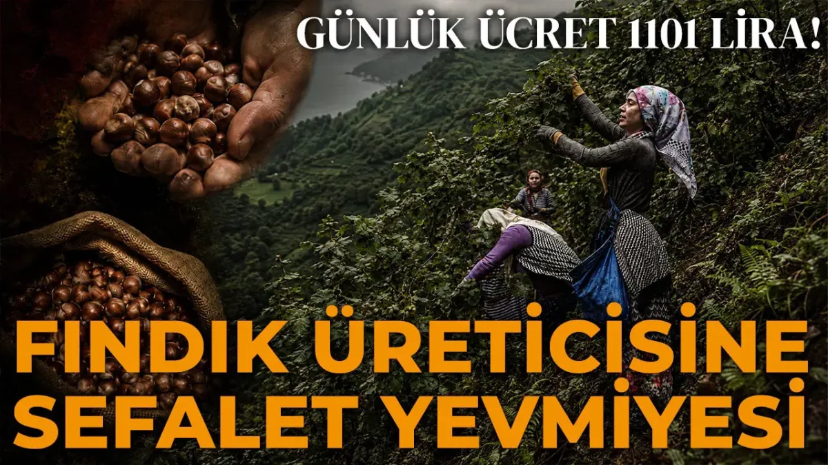 Avrupa 4 günlük mesaiyi tartışırken, Karadeniz'de emeğe biçilen değer! Sefalet yevmiyesi 1101 TL...