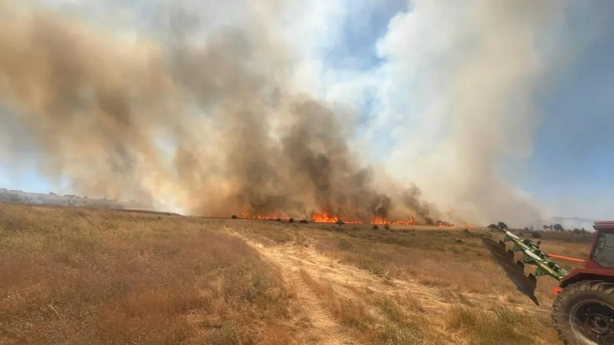 Eskişehir'de anız yangını ağaçlandırma sahasına sıçradı