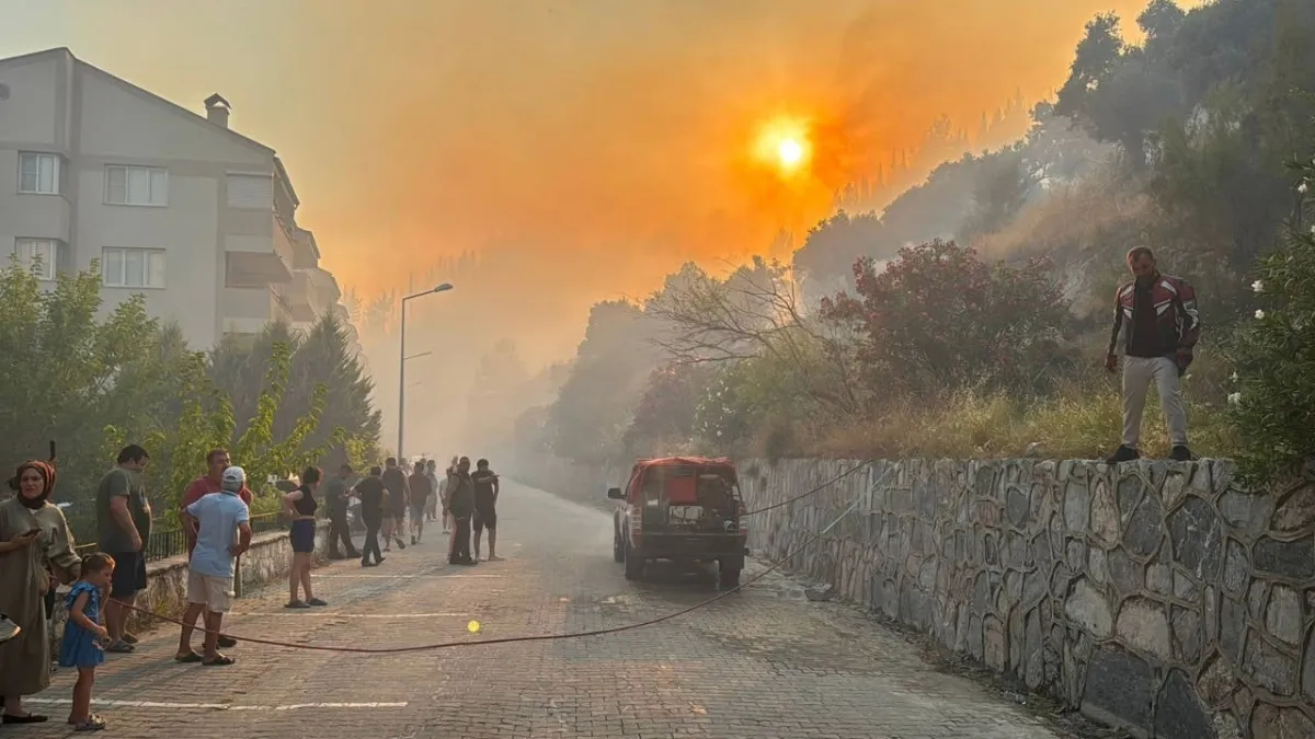 Aydın'da zeytinlik ve makilik alanda yangın