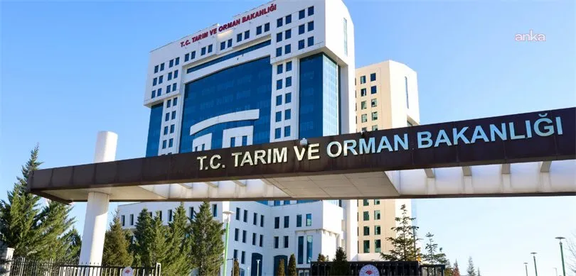 Tarım Orman Bakanlığından "çekirge istilası" açıklaması: Mücadeleyi gerektirecek bir durum bulunmamaktadır