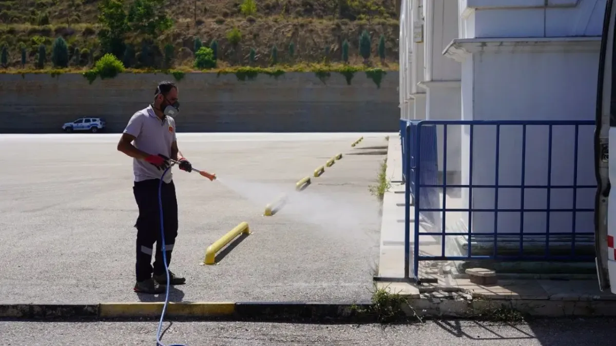 Bilecik Belediyesi’nden çekirgelere karşı ilaçlama önlemi