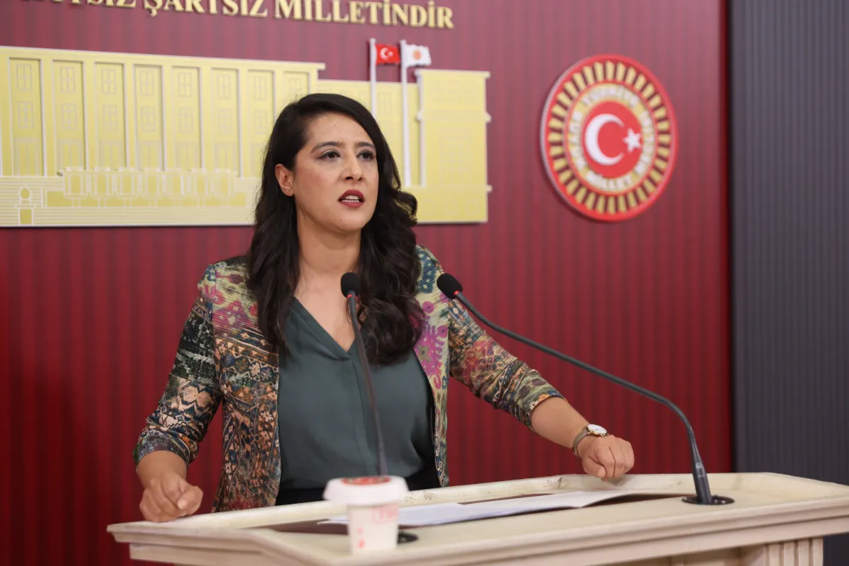 EMEP'li Sevda Karaca: "Çocuklara özgü yeni bir adalet sistemi kurulması gerekiyor"