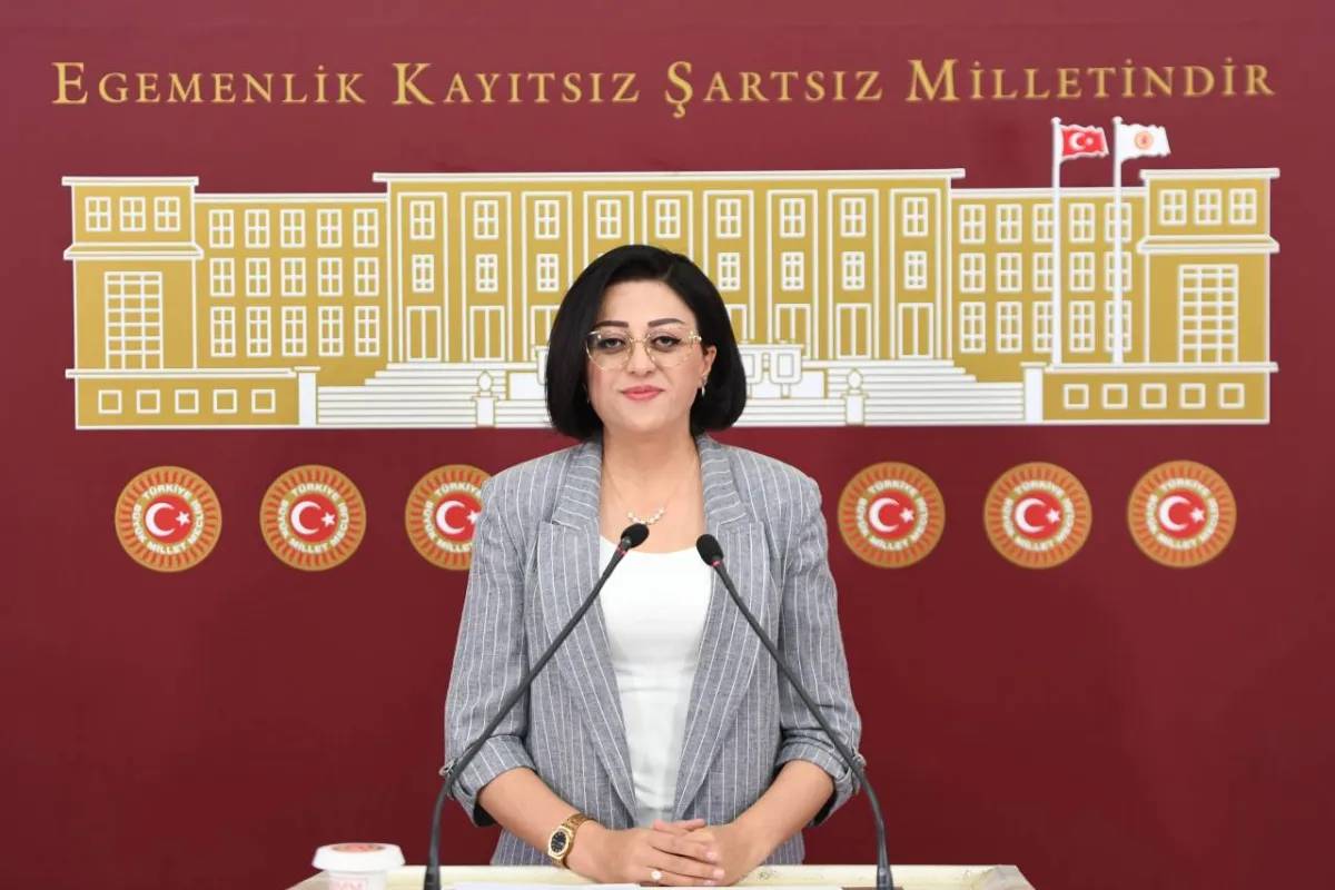 DEM Partili Bartin'den Meclis araştırması önergesi: Hakkari'nin kültürel mirası için komisyon talebi