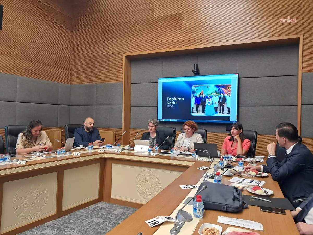 Disney, HBO ve Netflix temsilcileri TBMM'de çocuk profili, PIN ve yaş sınırlaması uygulamalarını anlattı