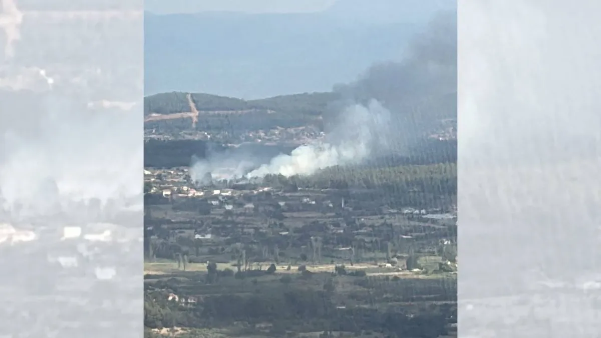 Muğla'da tarım arazisindeki yangın ormana sıçradı