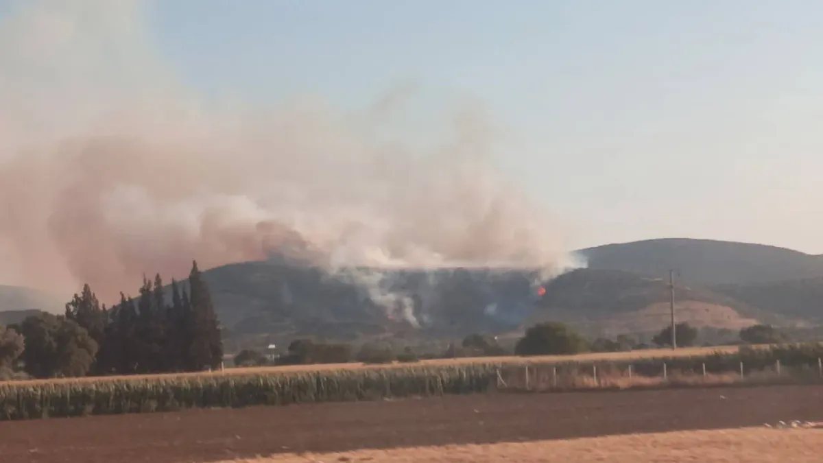 İzmir'de orman yangını: Havadan ve karadan müdahale ediliyor