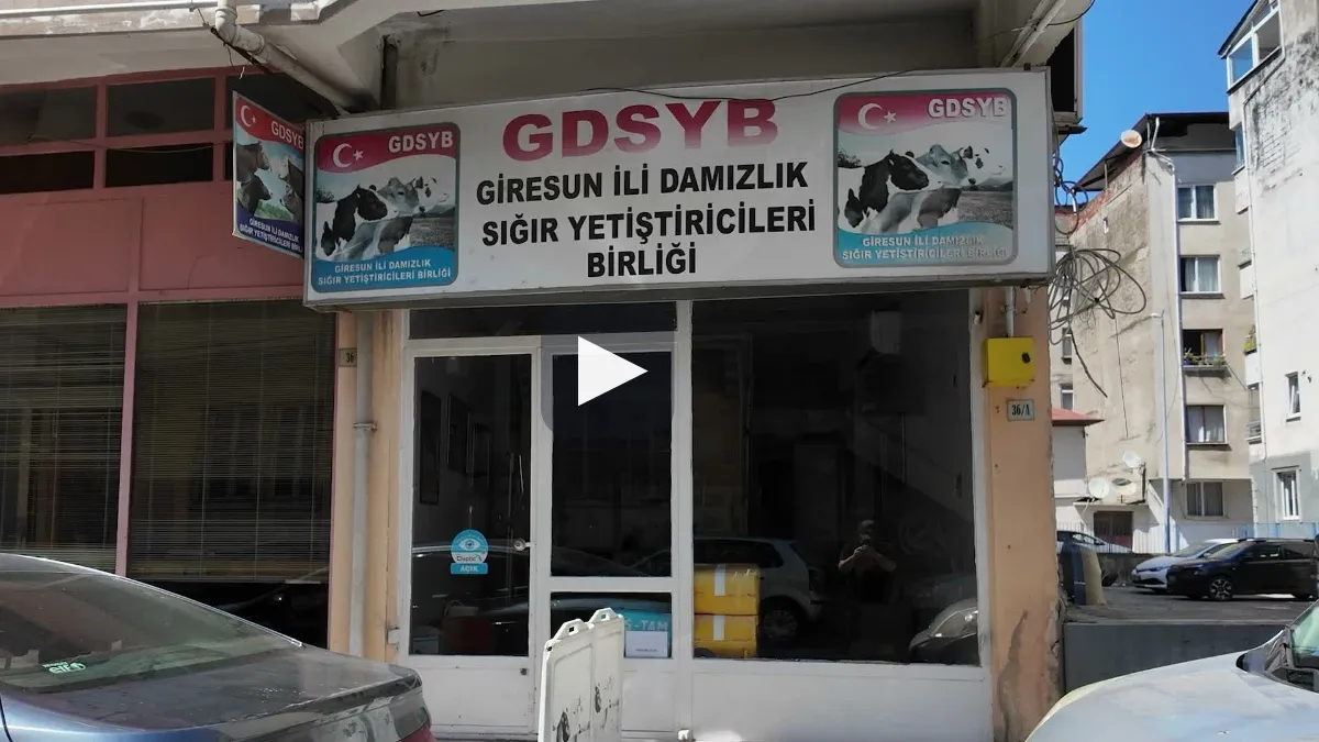 Giresun Süt Üreticileri Birliği'nin eski yöneticileri hakkında soruşturma