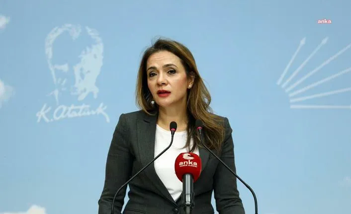 CHP Genel Başkan Yardımcısı İlgezdi: "Gençler, en dinamik dönemlerinde eğitim ve üretim zincirinin dışına itiliyor"