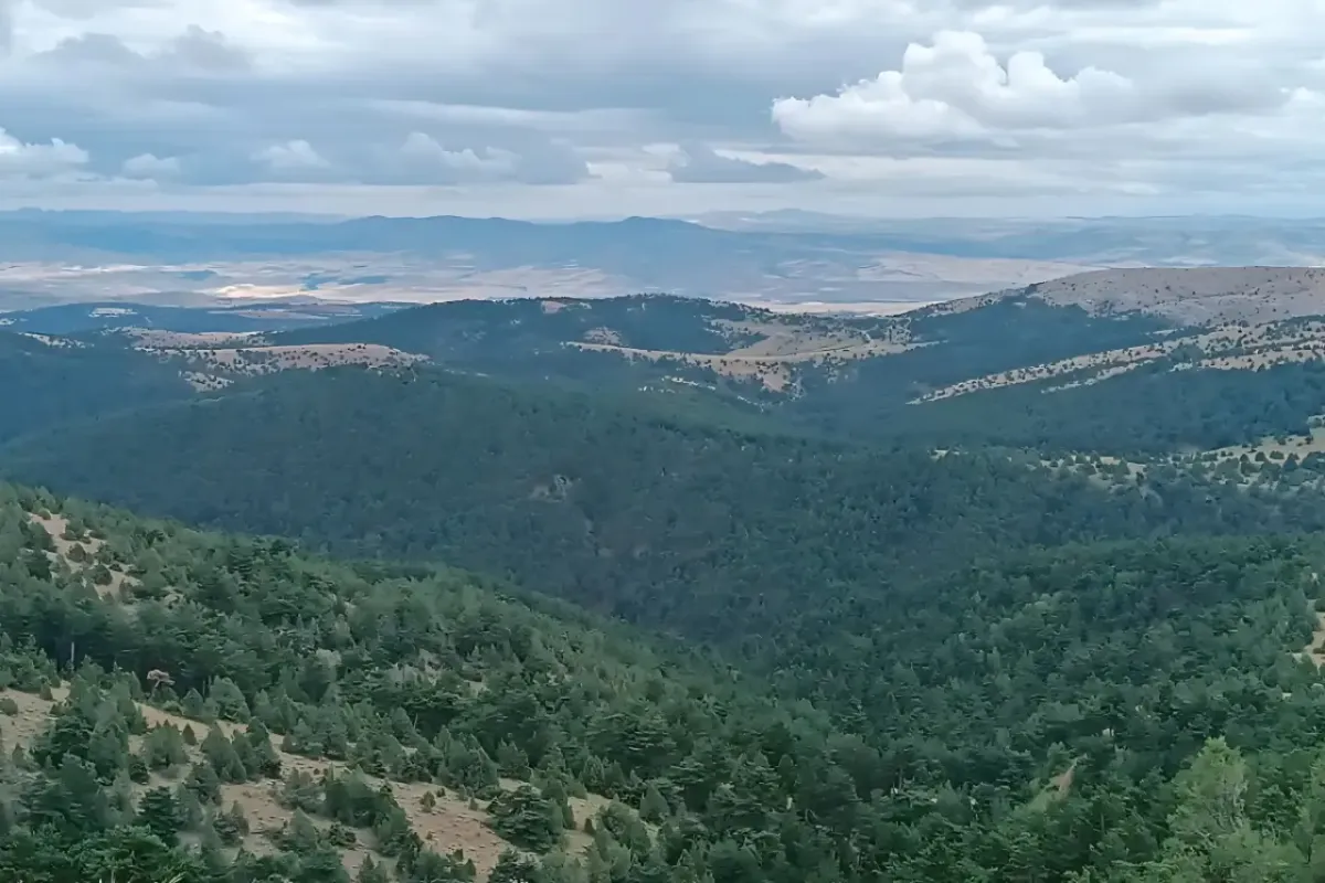 Sivas Boz Dağ’daki maden sondajlarına tepki: Nallı Köyü ve çevre köyler maden aramasının durdurulmasını istedi
